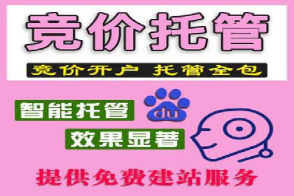 SEM竞价代运营：案例展示精准营销效果